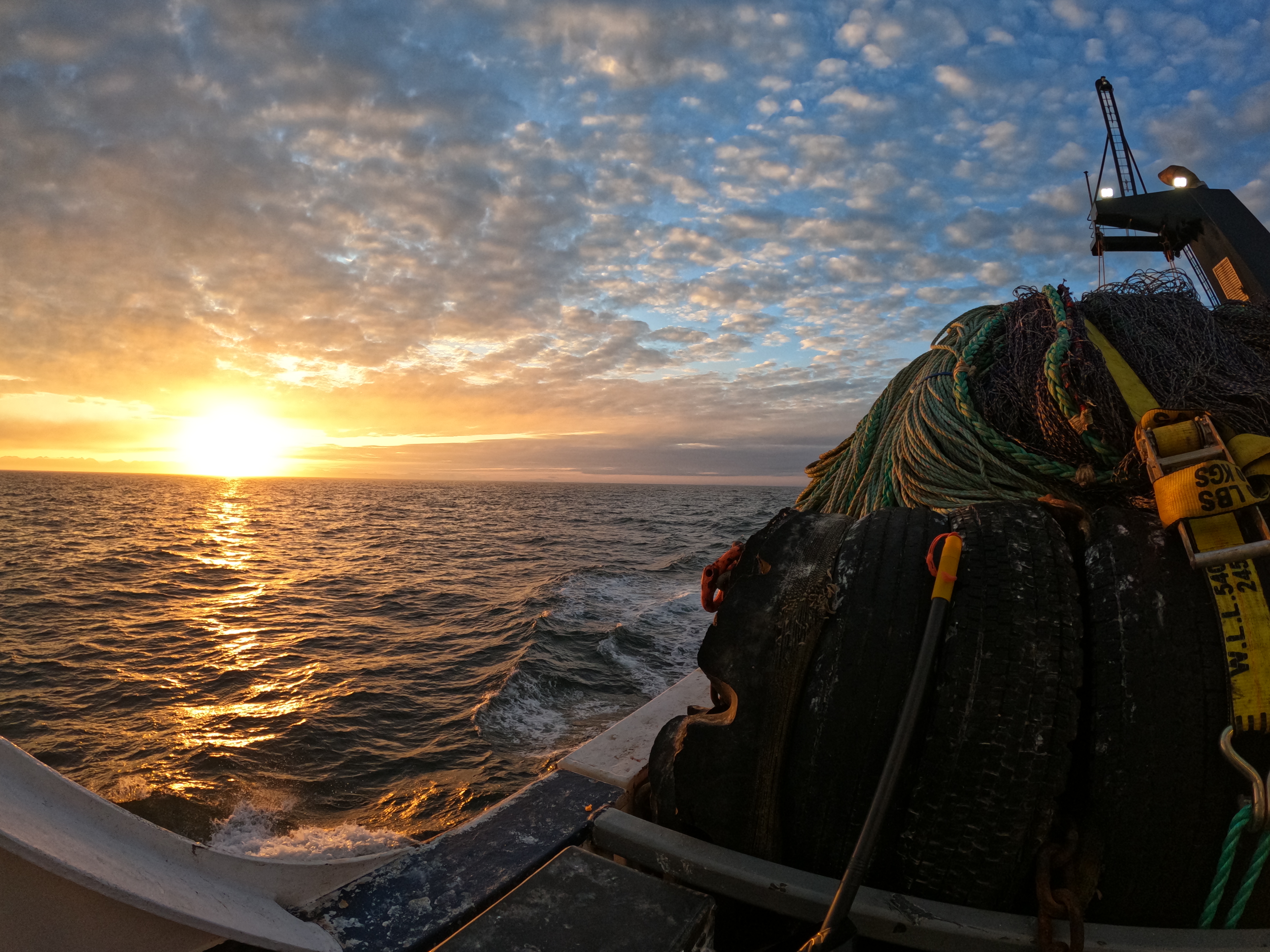 Personal expedition photograph from open water